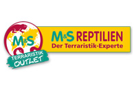 Logo ms