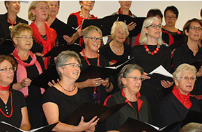 BSZ Stockach Sommerserenade Kammerchor