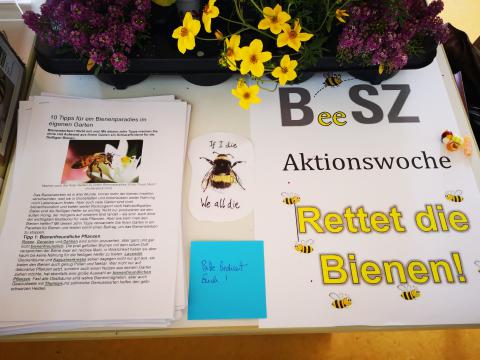 BSZ Stockach Bienen