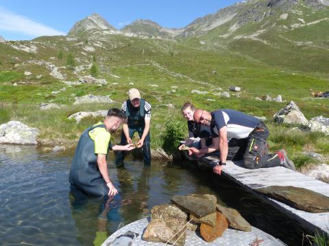 Handwerkstatt BSZ-Stockach